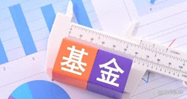 和基金(和基金股票有关的大学专业)