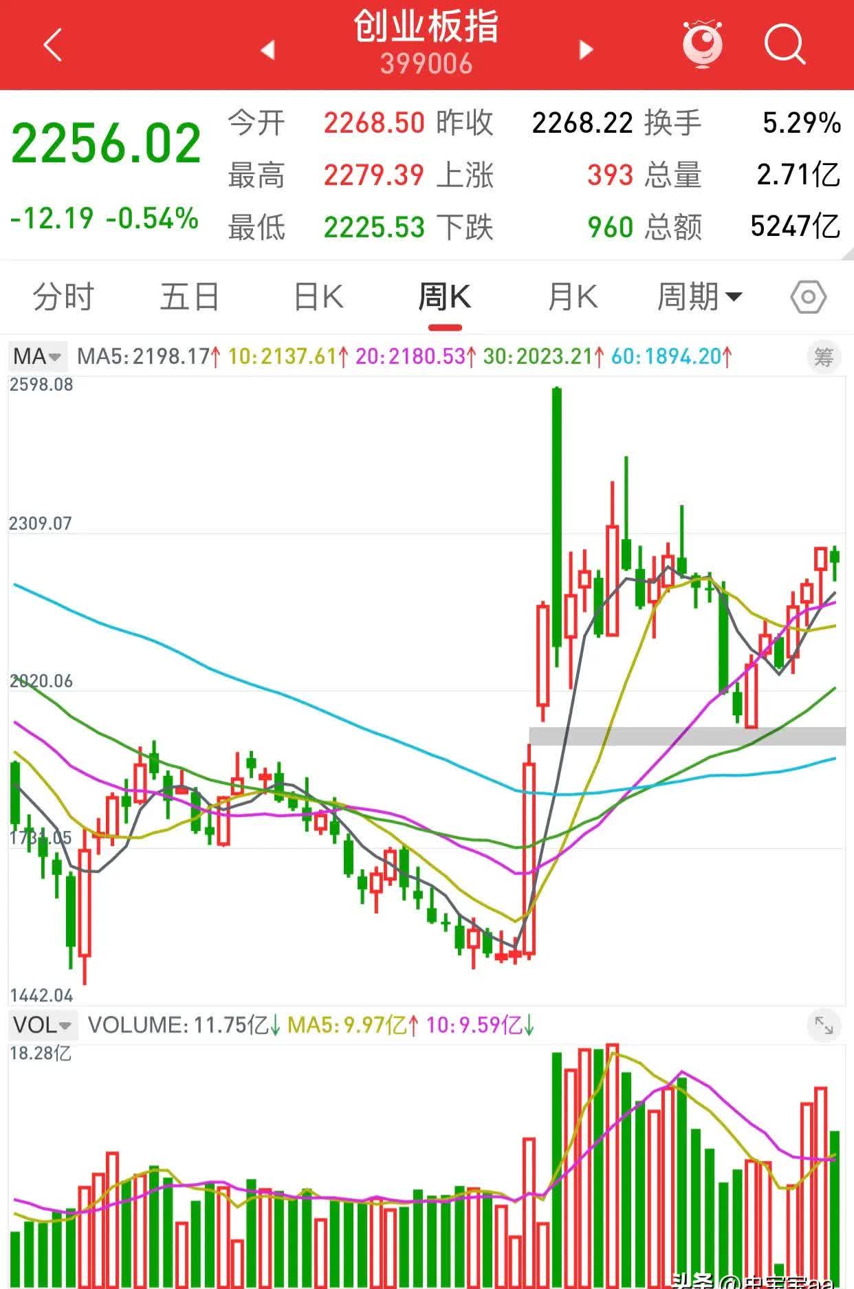 基金指数(基金指数型和股票型的区别)