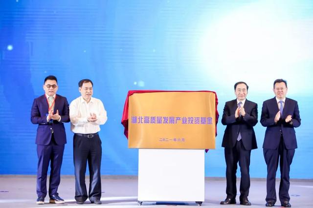 洪泰基金(洪泰基金投资摩尔线程吗)